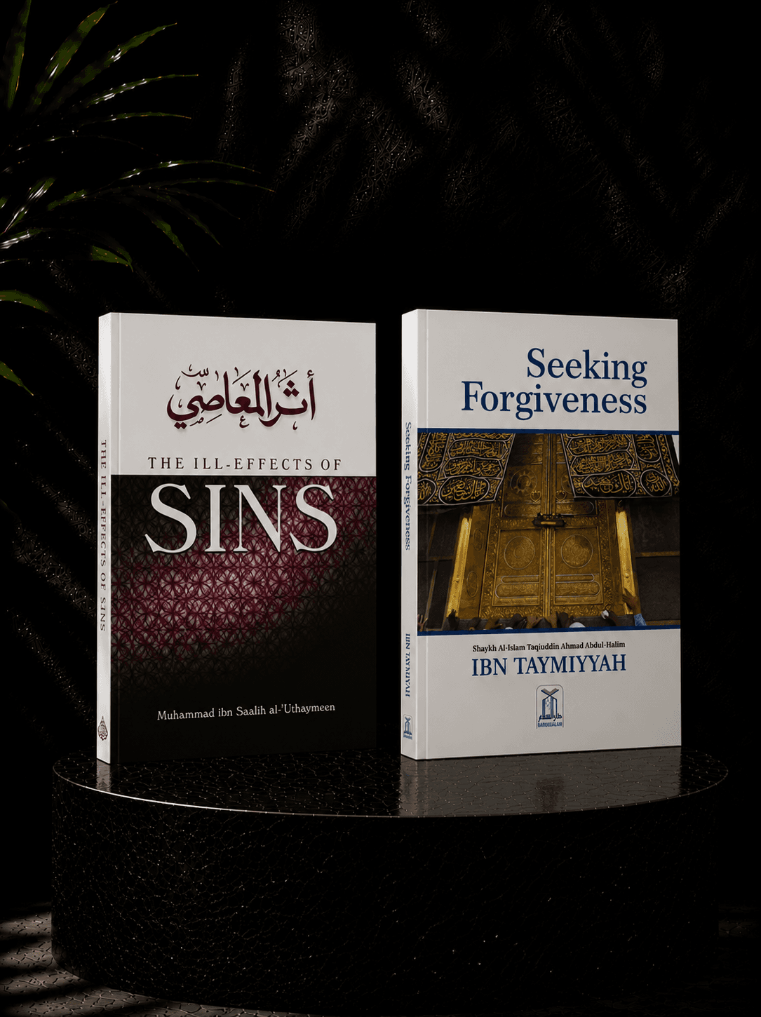 The Ill effects of Sin and Seeking Forgiveness (Set)